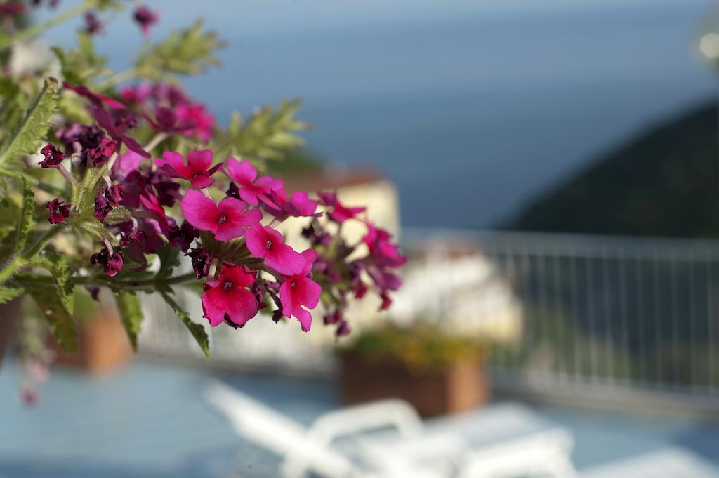 Vietri Le Terrazze Di Cristina B&B 외부 사진