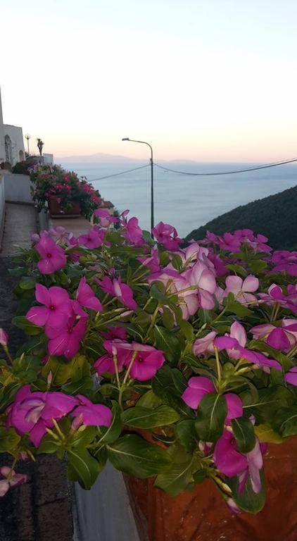 Vietri Le Terrazze Di Cristina B&B 외부 사진