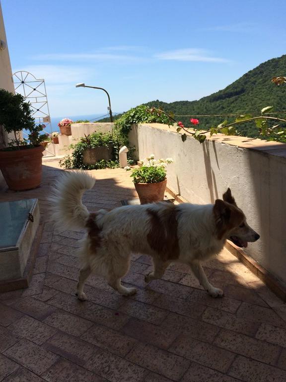 Vietri Le Terrazze Di Cristina B&B 외부 사진