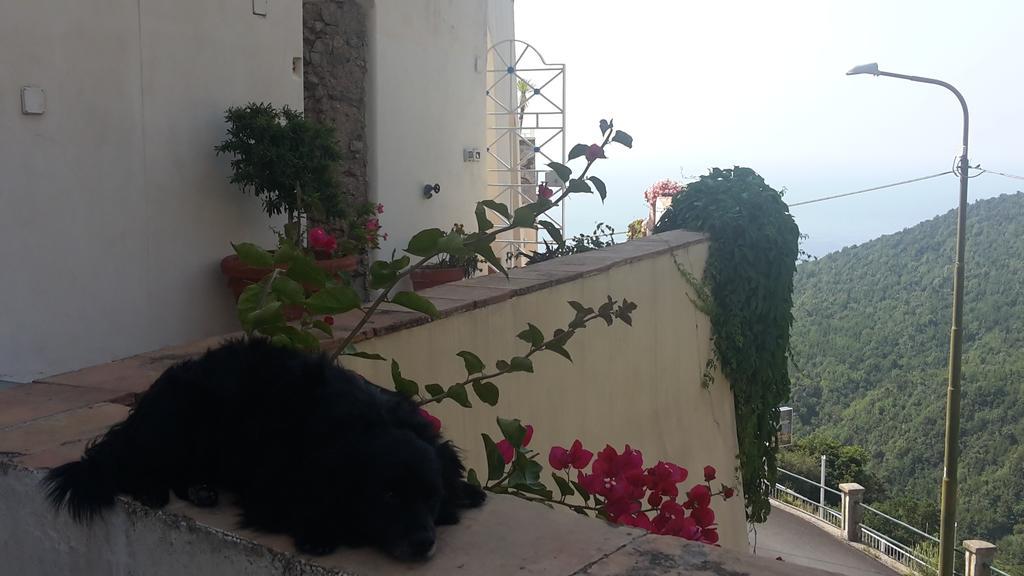 Vietri Le Terrazze Di Cristina B&B 외부 사진
