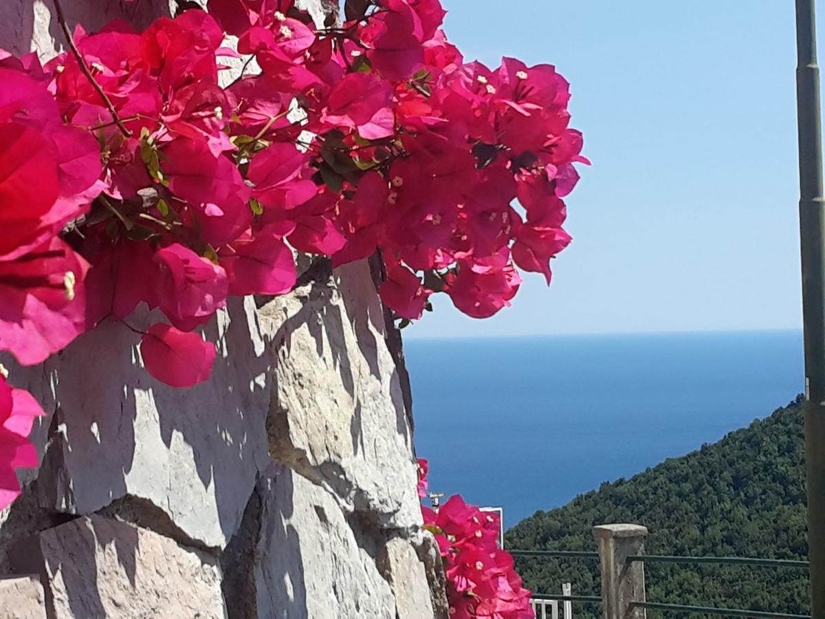Vietri Le Terrazze Di Cristina B&B 외부 사진