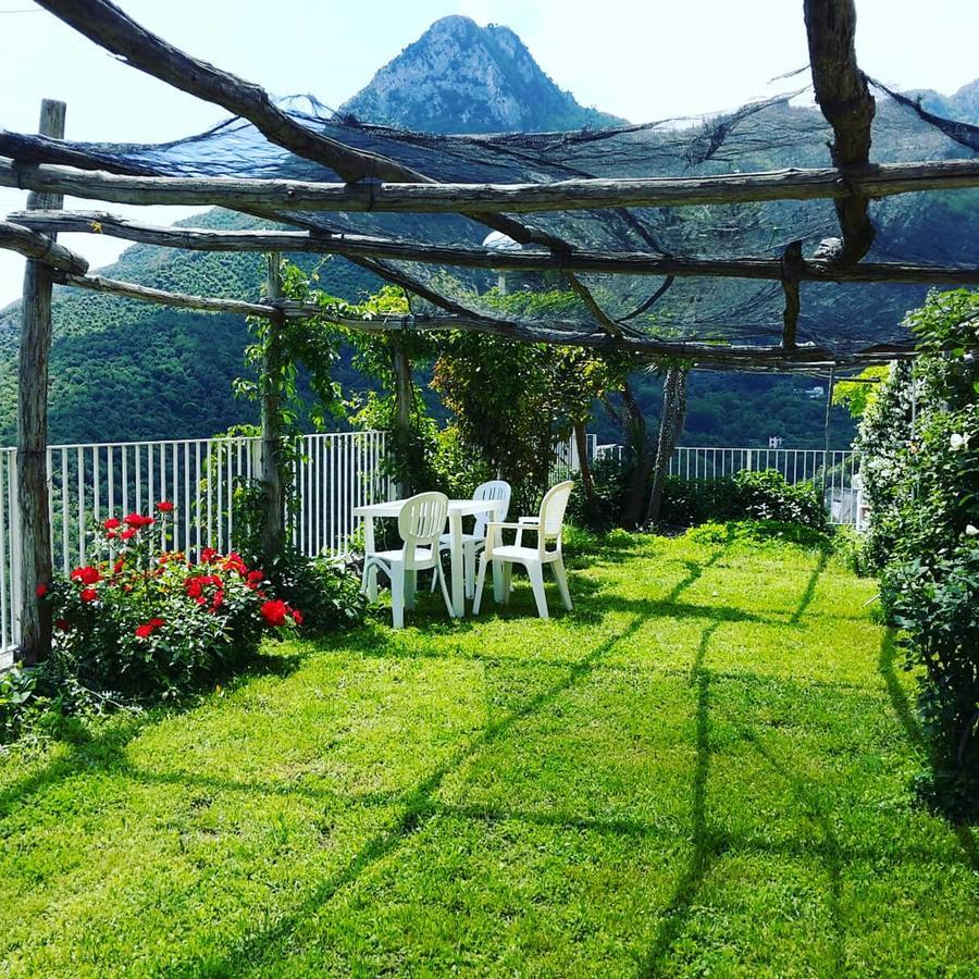 Vietri Le Terrazze Di Cristina B&B 외부 사진
