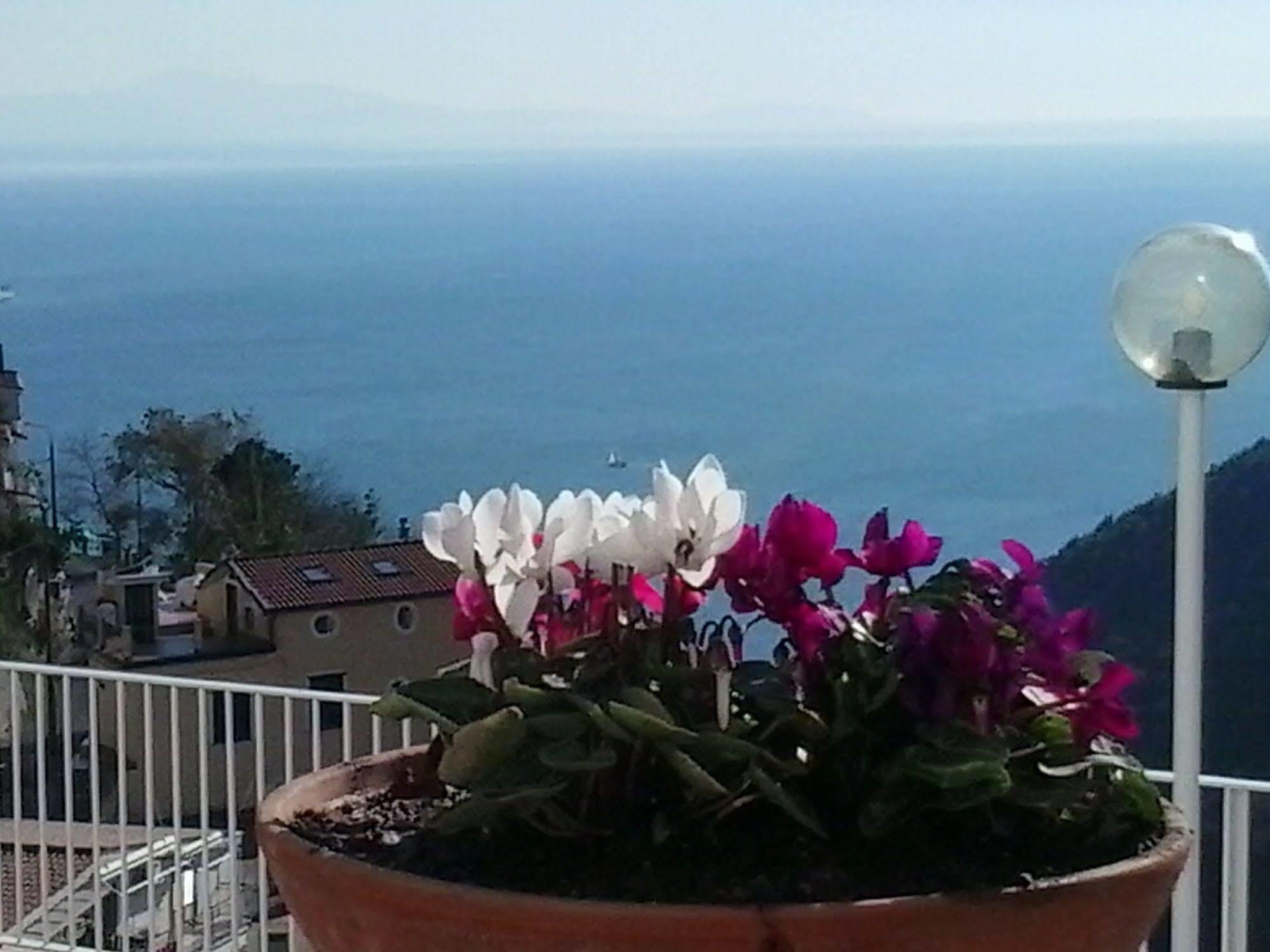 Vietri Le Terrazze Di Cristina B&B 외부 사진