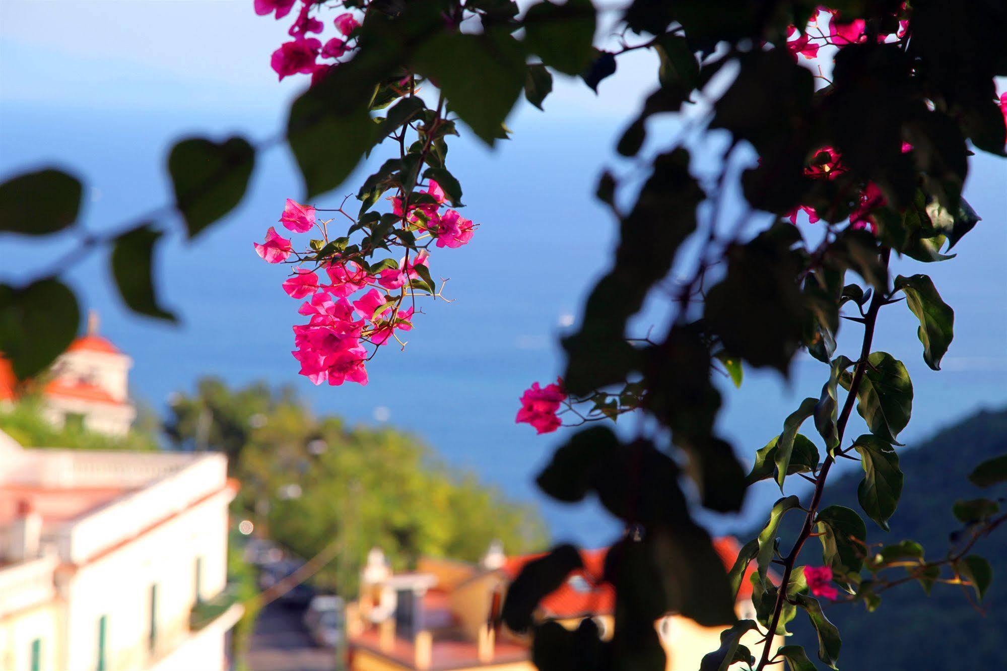 Vietri Le Terrazze Di Cristina B&B 외부 사진