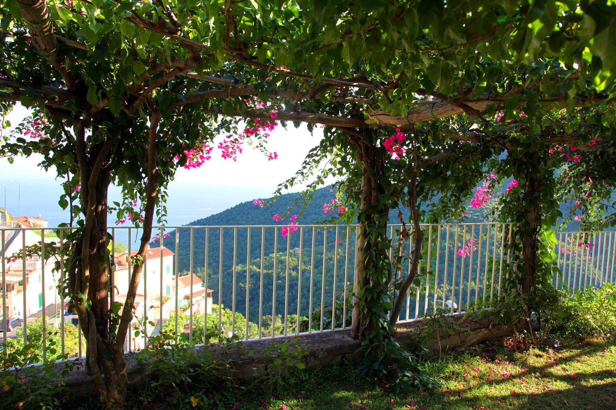 Vietri Le Terrazze Di Cristina B&B 외부 사진