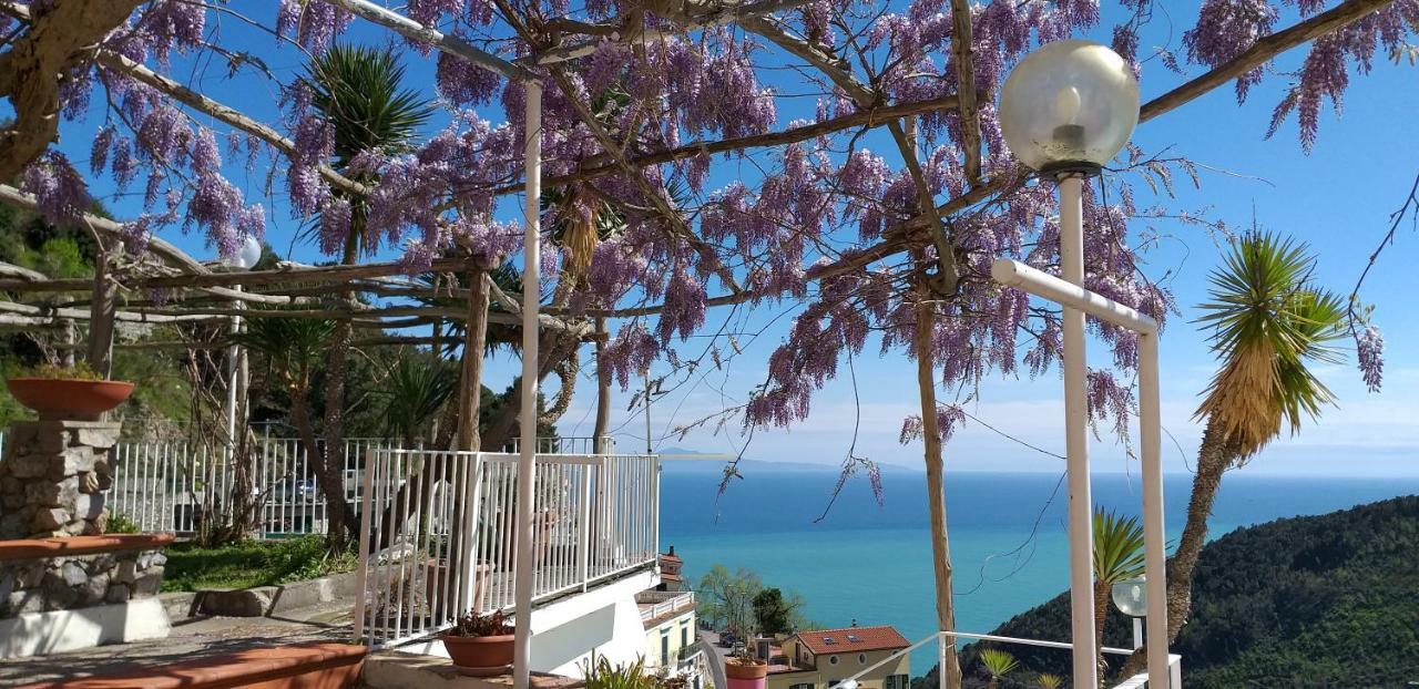 Vietri Le Terrazze Di Cristina B&B 외부 사진