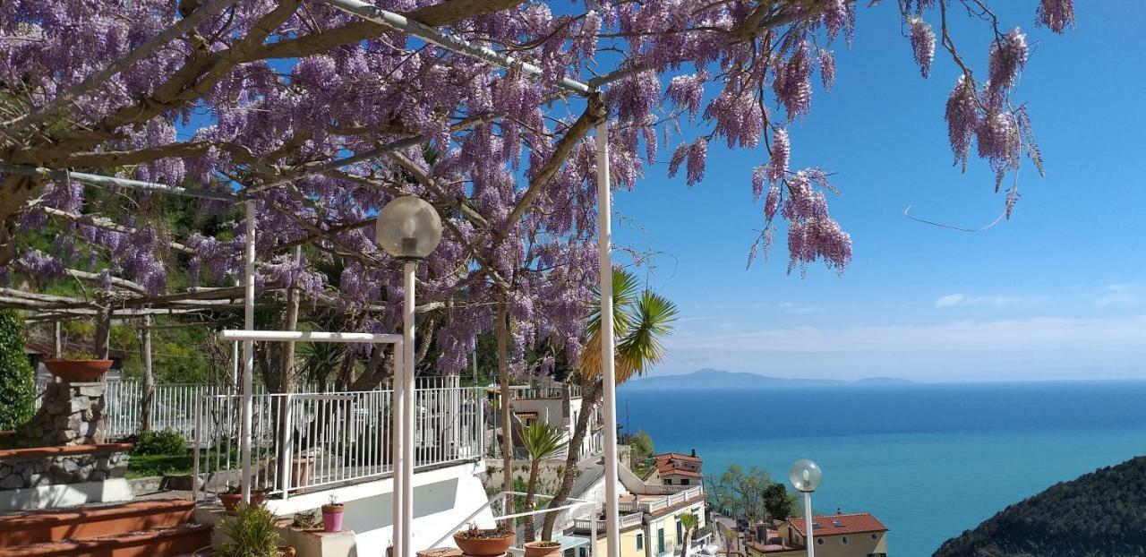 Vietri Le Terrazze Di Cristina B&B 외부 사진