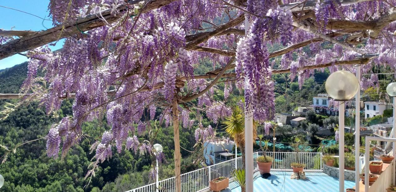 Vietri Le Terrazze Di Cristina B&B 외부 사진